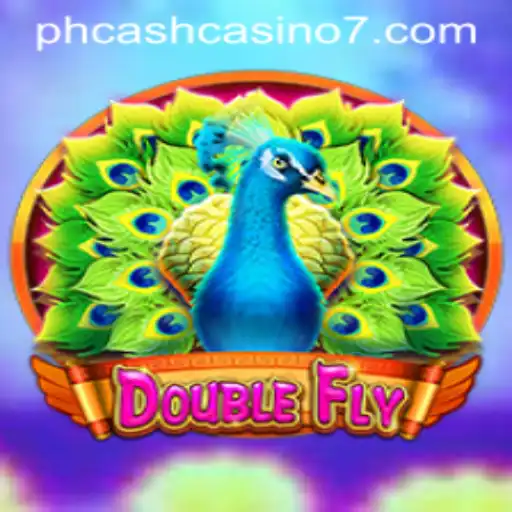 Exploring DoubleFly: A New Era in Casino Gaming