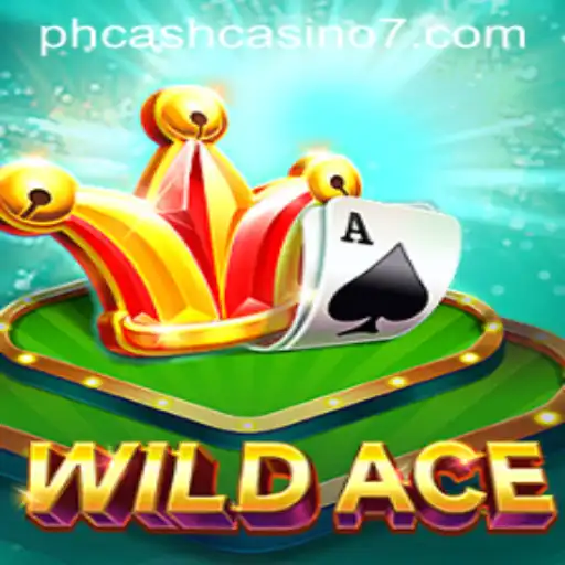 Exploring WildAce: A Game of Chance and Strategy